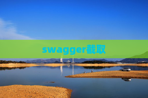 swagger截取